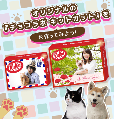 1枚600円〜！送料込み♡匿名配送！オーダーページ✨ チョコラボキットカット | プレゼント・プチギフトにオリジナルお菓子